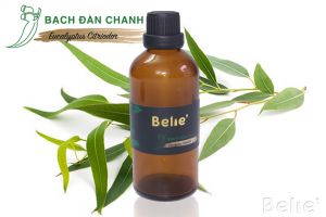 Tinh Dầu Bạch Đàn Chanh Belie 100ml