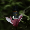 huong-ngoc-lan-belie-10ml - ảnh nhỏ  1