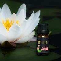 Hương Hoa Sen Belie 10ml