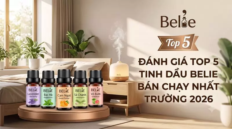 Đánh giá Top 5 dòng tinh dầu xông phòng Belie bán chạy nhất thị trường 2026